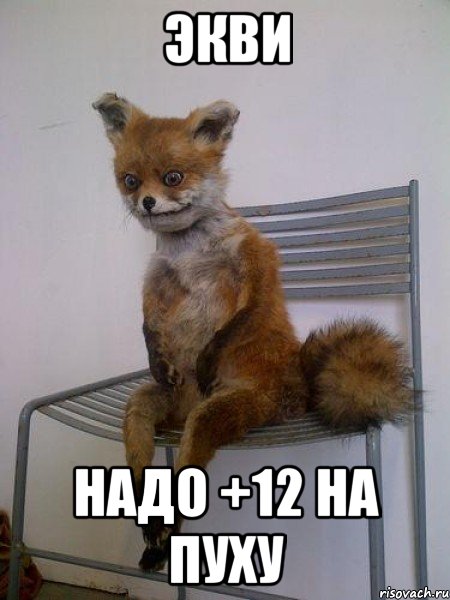 экви надо +12 на пуху