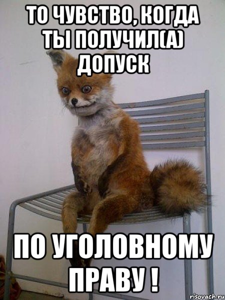 то чувство, когда ты получил(а) допуск по уголовному праву !