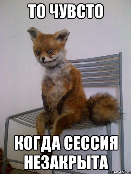 то чувсто когда сессия незакрыта