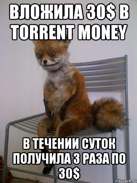 вложила 30$ в torrent money в течении суток получила 3 раза по 30$