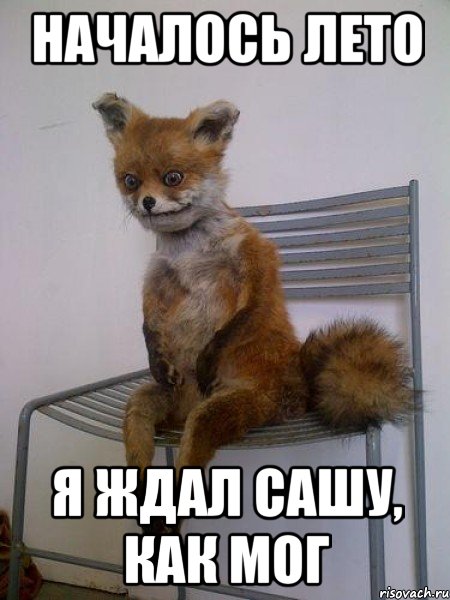 началось лето я ждал сашу, как мог