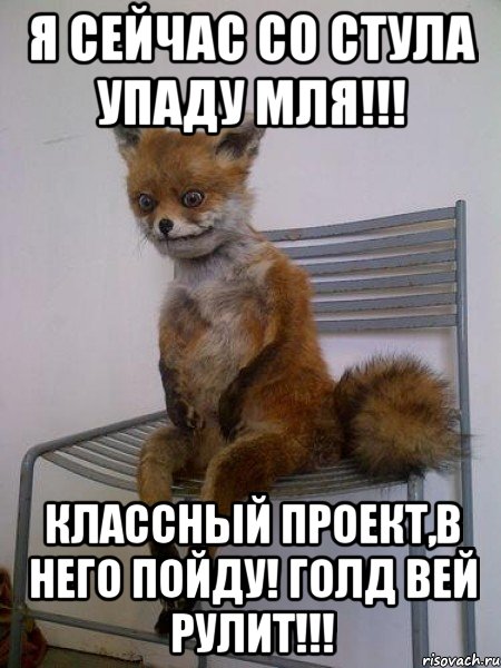 я сейчас со стула упаду мля!!! классный проект,в него пойду! голд вей рулит!!!