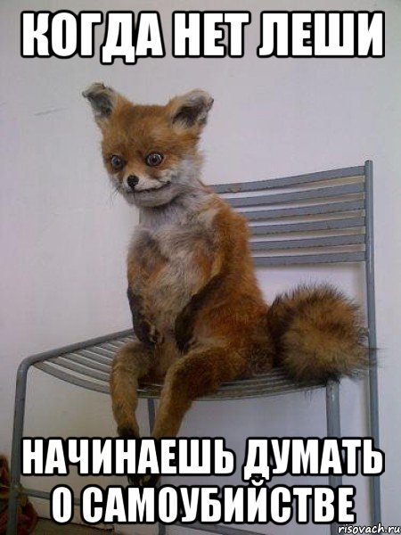 когда нет леши начинаешь думать о самоубийстве