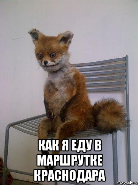  как я еду в маршрутке краснодара