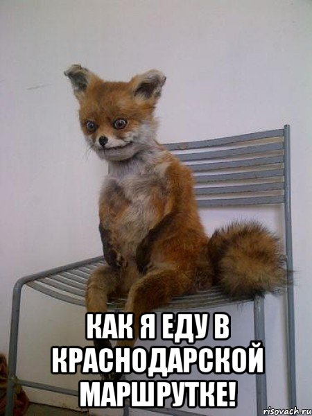  как я еду в краснодарской маршрутке!