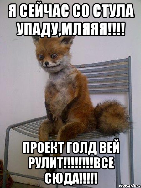 я сейчас со стула упаду,мляяя!!! проект голд вей рулит!!!все сюда!!!