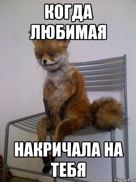 когда любимая накричала на тебя