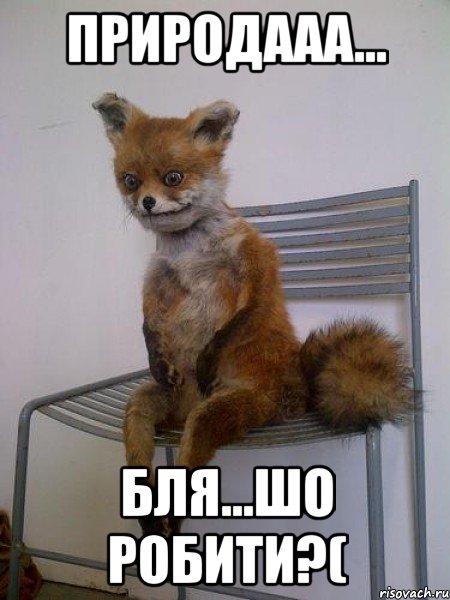 природааа... бля...шо робити?(
