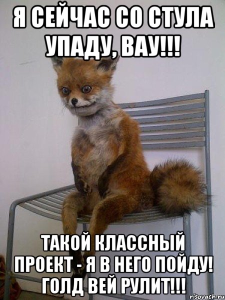 я сейчас со стула упаду, вау!!! такой классный проект - я в него пойду! голд вей рулит!!!