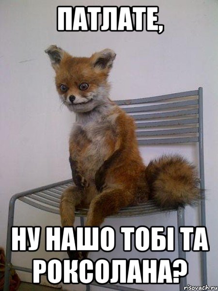 патлате, ну нашо тобі та роксолана?