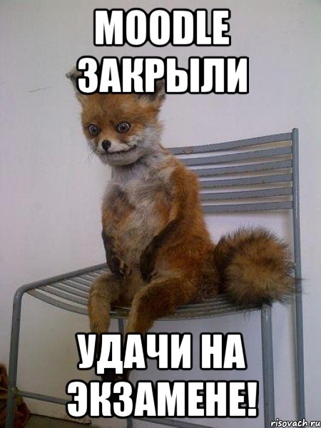 moodle закрыли удачи на экзамене!
