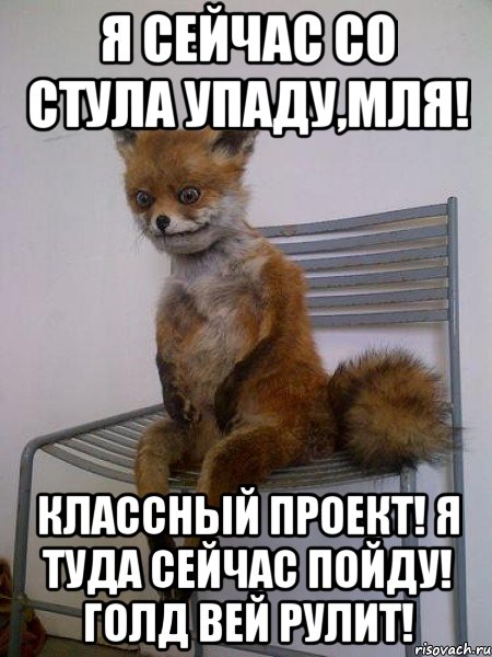 я сейчас со стула упаду,мля! классный проект! я туда сейчас пойду! голд вей рулит!
