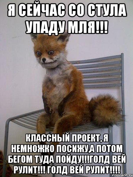 я сейчас со стула упаду мля!!! классный проект, я немножко посижу,а потом бегом туда пойду!!!голд вей рулит!!! голд вей рулит!!!