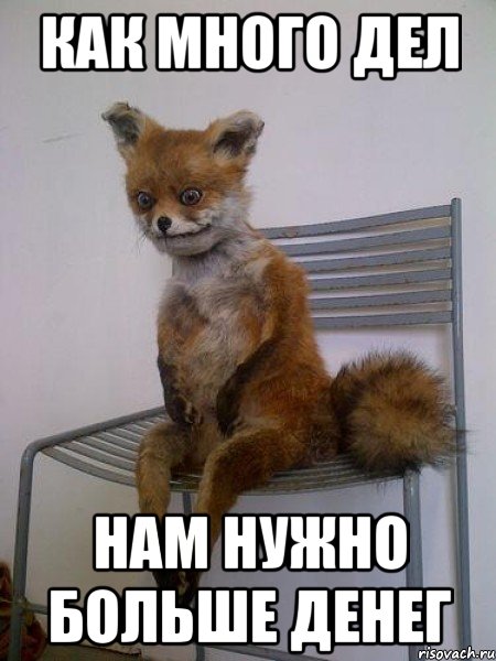 как много дел нам нужно больше денег
