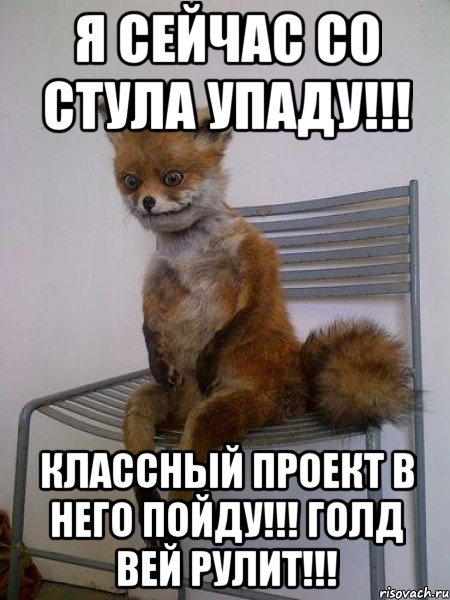 я сейчас со стула упаду!!! классный проект в него пойду!!! голд вей рулит!!!