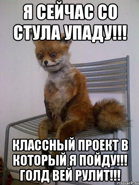 я сейчас со стула упаду!!! классный проект в который я пойду!!! голд вей рулит!!!