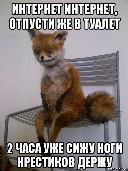 интернет интернет, отпусти же в туалет 2 часа уже сижу ноги крестиков держу