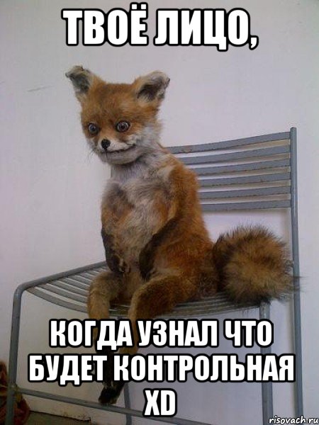 твоё лицо, когда узнал что будет контрольная хd