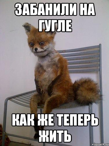 забанили на гугле как же теперь жить