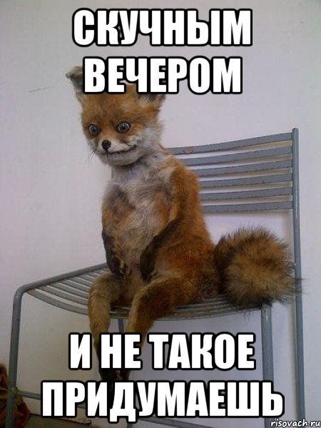 скучным вечером и не такое придумаешь