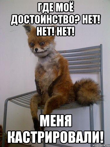 где моё достоинство? нет! нет! нет! меня кастрировали!