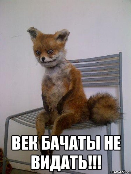  век бачаты не видать!!!