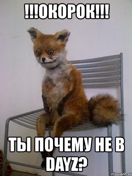!!!окорок!!! ты почему не в dayz?