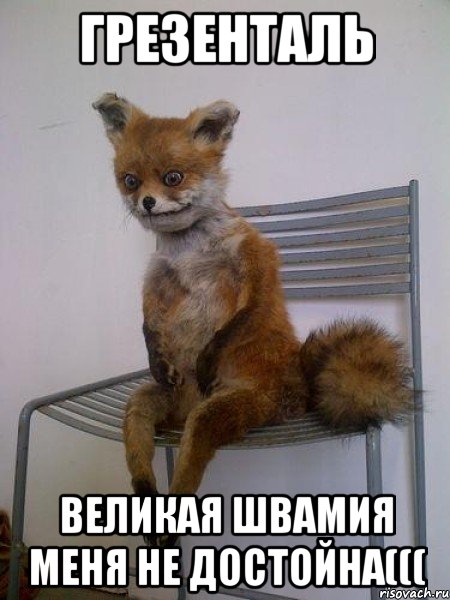 грезенталь великая швамия меня не достойна(((