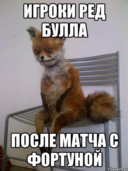 игроки ред булла после матча с фортуной