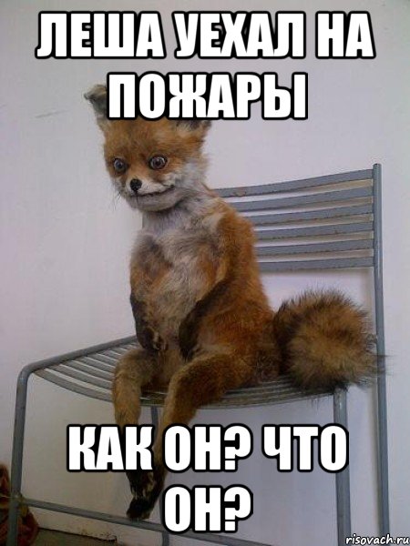 леша уехал на пожары как он? что он?