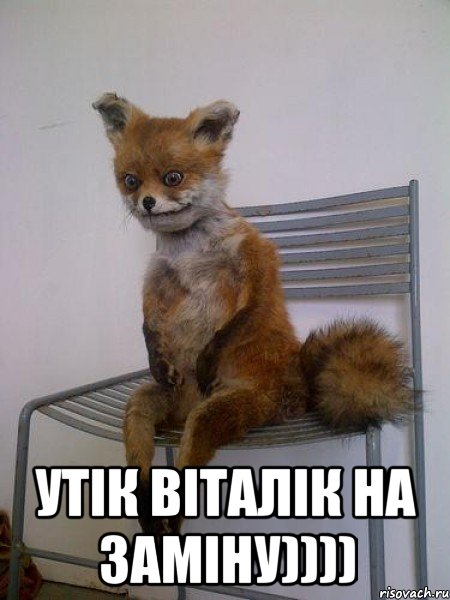  утік віталік на заміну))))