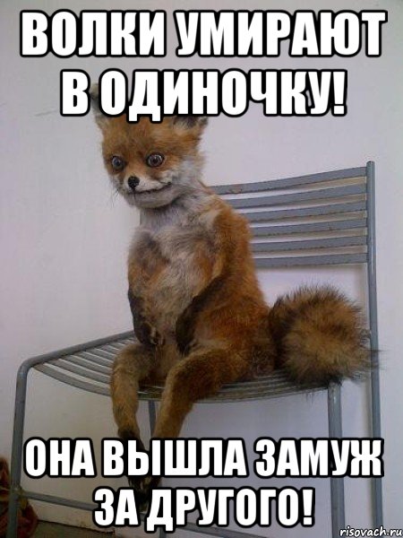 волки умирают в одиночку! она вышла замуж за другого!