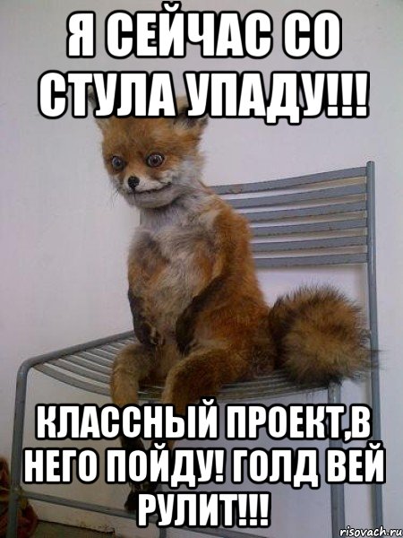 я сейчас со стула упаду!!! классный проект,в него пойду! голд вей рулит!!!