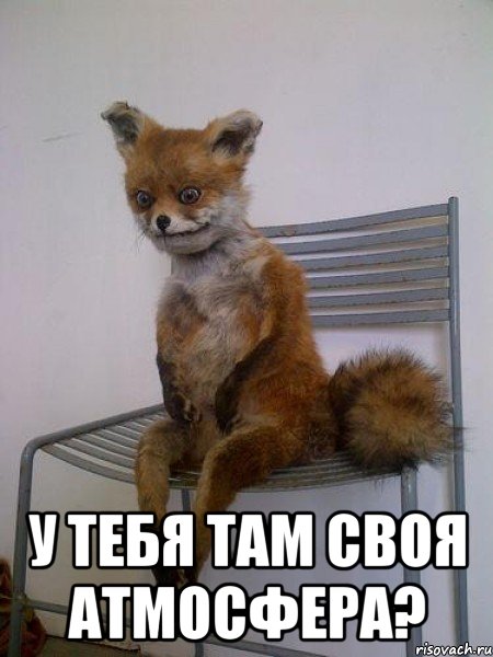  у тебя там своя атмосфера?