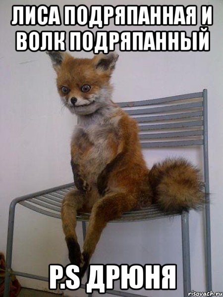 лиса подряпанная и волк подряпанный p.s дрюня