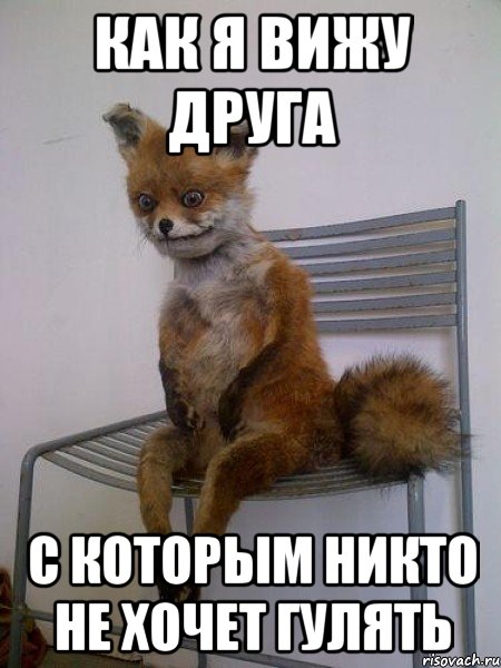 как я вижу друга с которым никто не хочет гулять