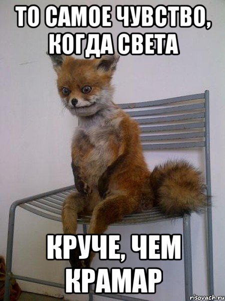 то самое чувство, когда света круче, чем крамар