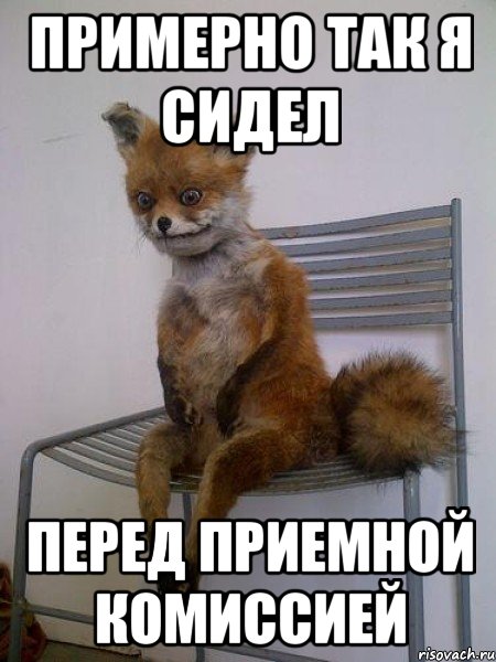 примерно так я сидел перед приемной комиссией