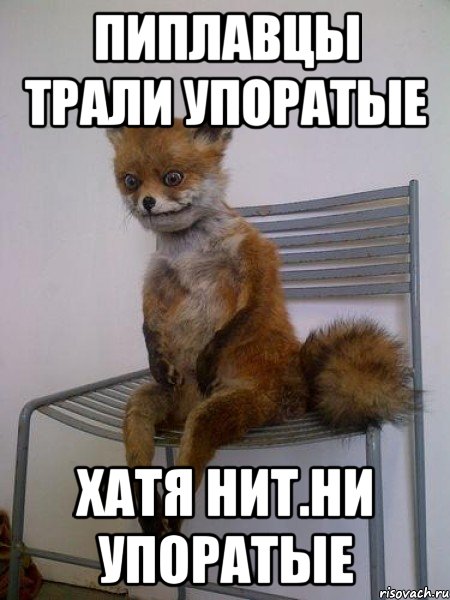 пиплавцы трали упоратые хатя нит.ни упоратые