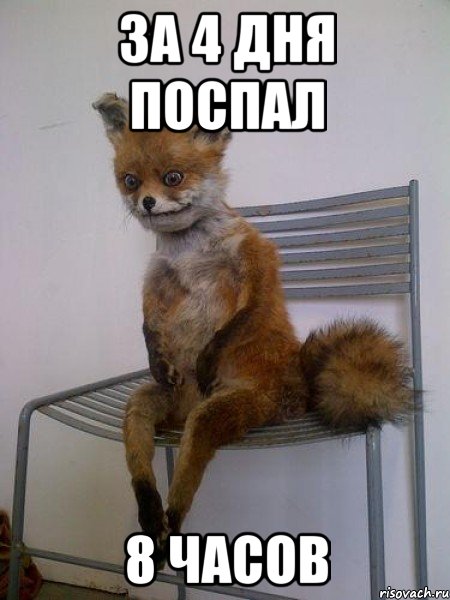 за 4 дня поспал 8 часов