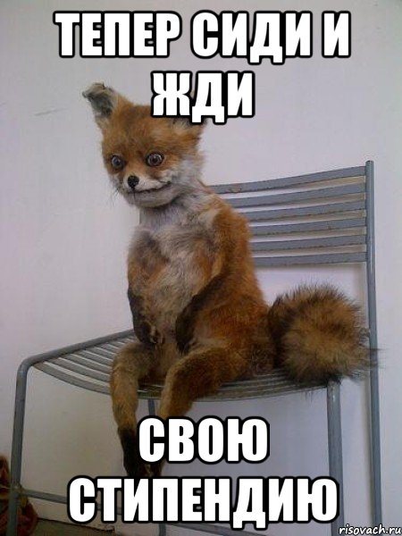 тепер сиди и жди свою стипендию