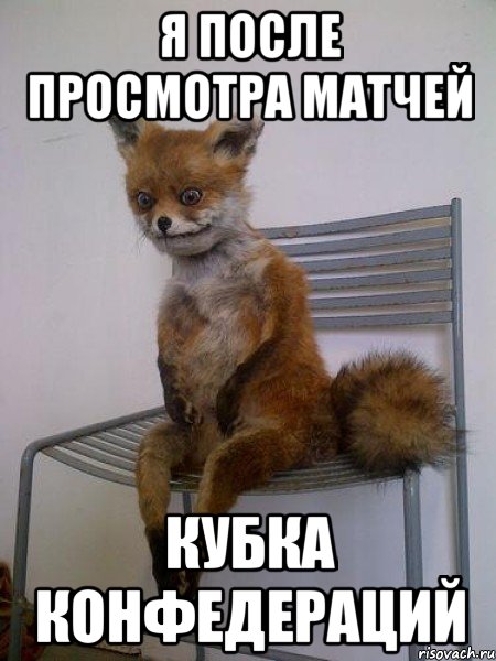 я после просмотра матчей кубка конфедераций, Мем Упоротая лиса