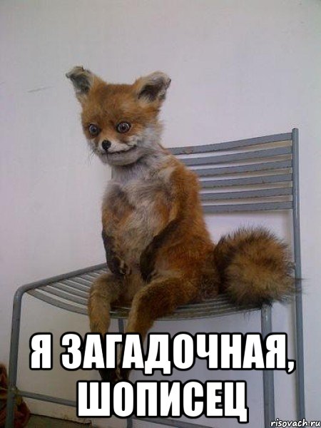  я загадочная, шописец, Мем Упоротая лиса