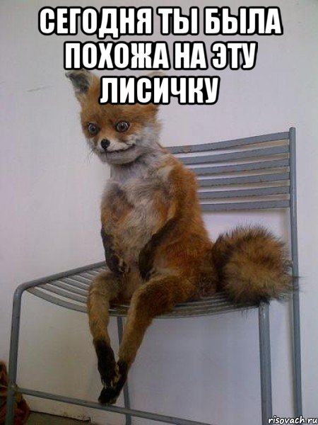 сегодня ты была похожа на эту лисичку , Мем Упоротая лиса