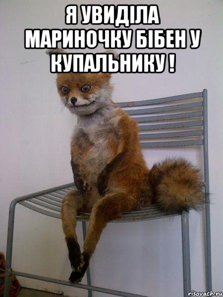 я увиділа мариночку бібен у купальнику ! , Мем Упоротая лиса