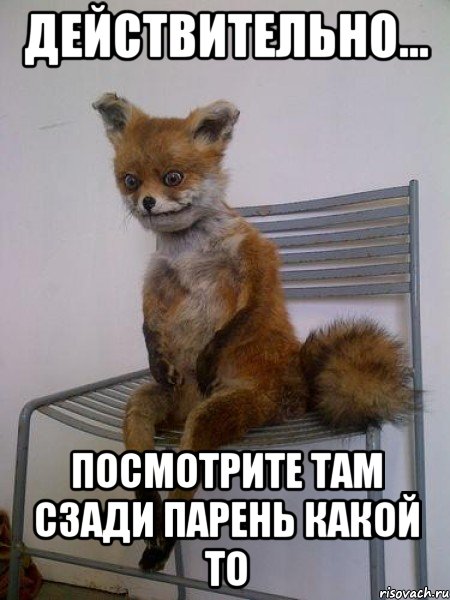 действительно... посмотрите там сзади парень какой то, Мем Упоротая лиса
