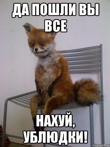 да пошли вы все нахуй, ублюдки!, Мем Упоротая лиса