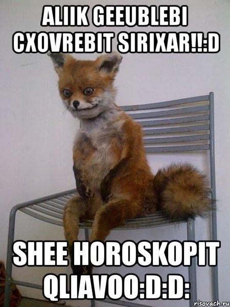 aliik geeublebi cxovrebit sirixar!!:d shee horoskopit qliavoo:d:d:, Мем Упоротая лиса