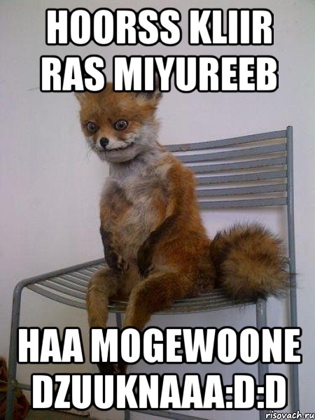 hoorss kliir ras miyureeb haa mogewoone dzuuknaaa:d:d, Мем Упоротая лиса