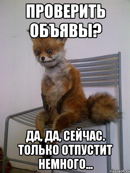 проверить объявы? да, да, сейчас. только отпустит немного..., Мем Упоротая лиса